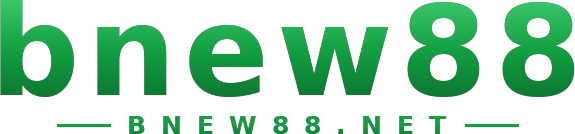 bnew88 logo
